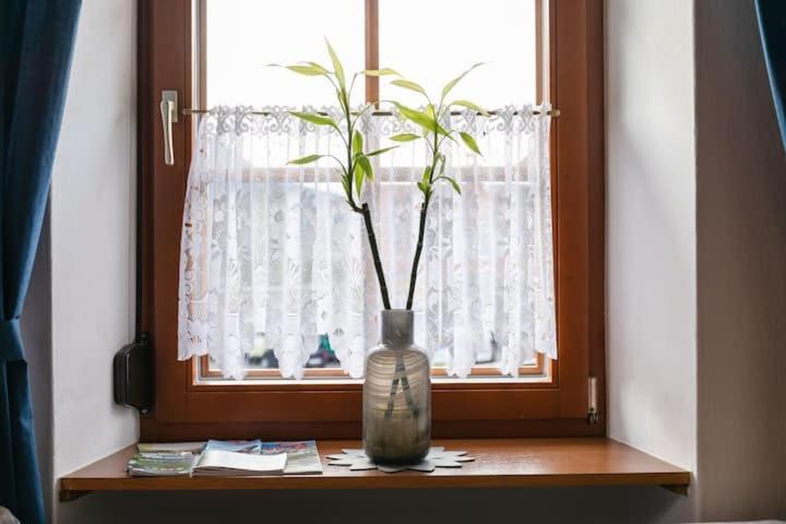 Kotschach-Mauthen Vanek Apartment מראה חיצוני תמונה