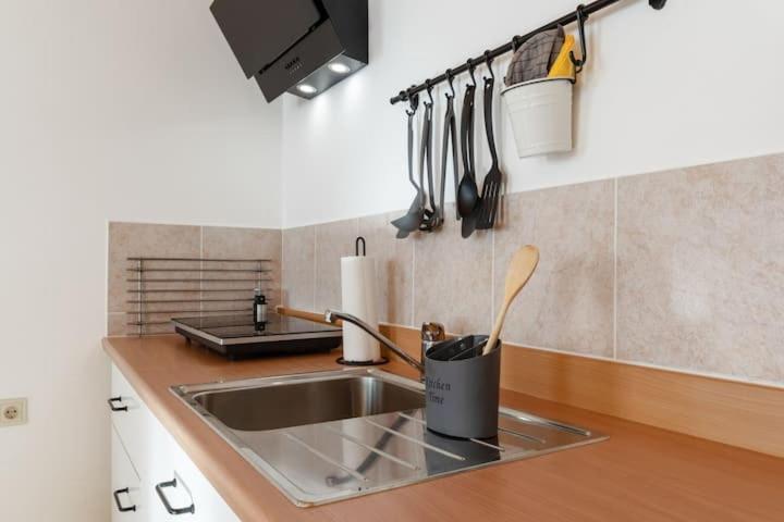 Kotschach-Mauthen Vanek Apartment מראה חיצוני תמונה